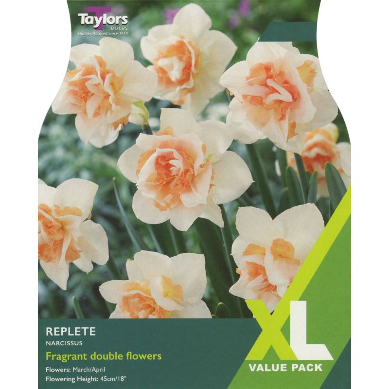 Taylors Bulbs Narcissus Replete - 10 Bulb Pack