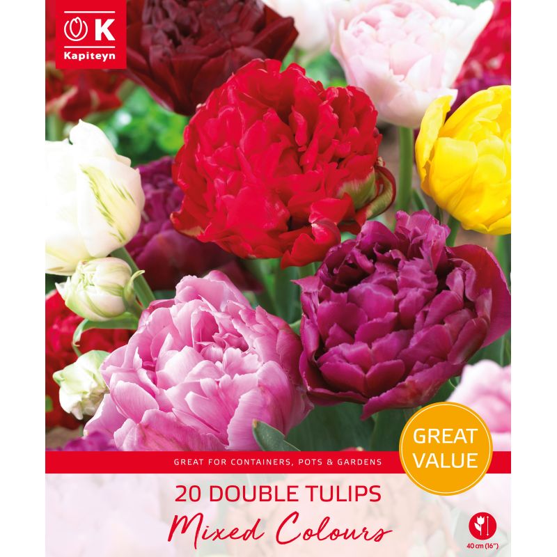 Kapiteyn Double Tulips - Mixed Colours - 20 Bulb Pack