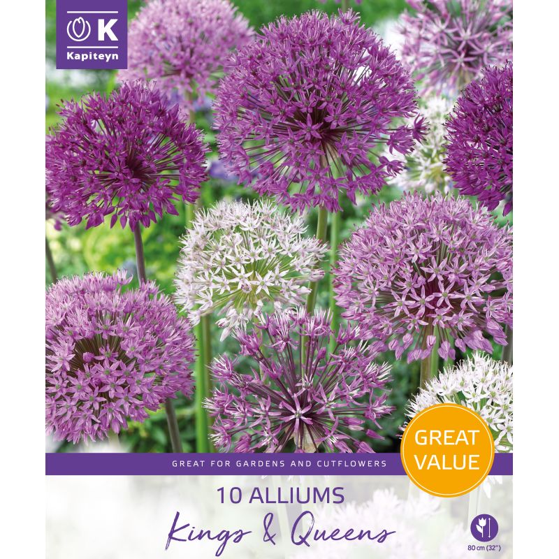 Kapiteyn Allium Kings & Queens - 10 Bulb Pack