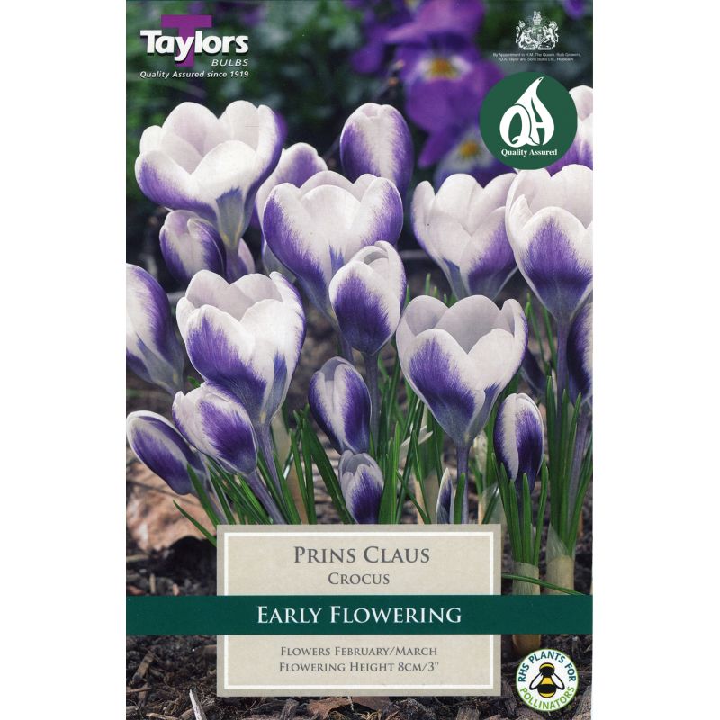 Taylors Bulbs Crocus Prins Claus - 10 Bulb Pack