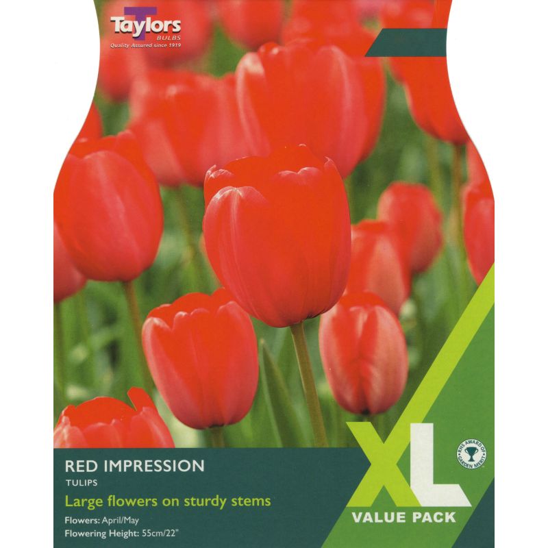 Taylors Bulbs Tulip Red Impression - 18 Bulb Pack