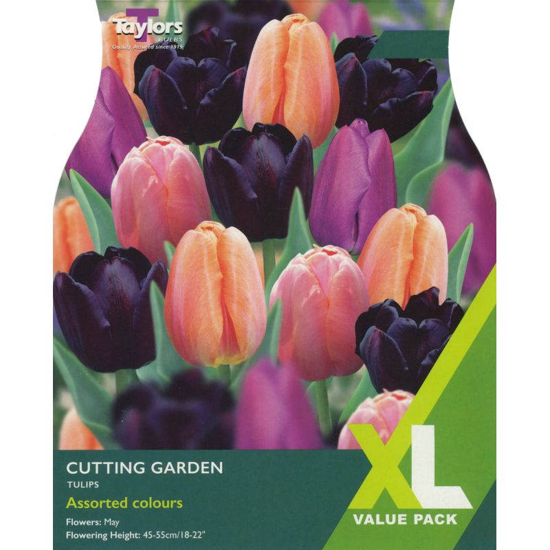 Taylors Bulbs Cutting Garden - 15 Bulb Pack