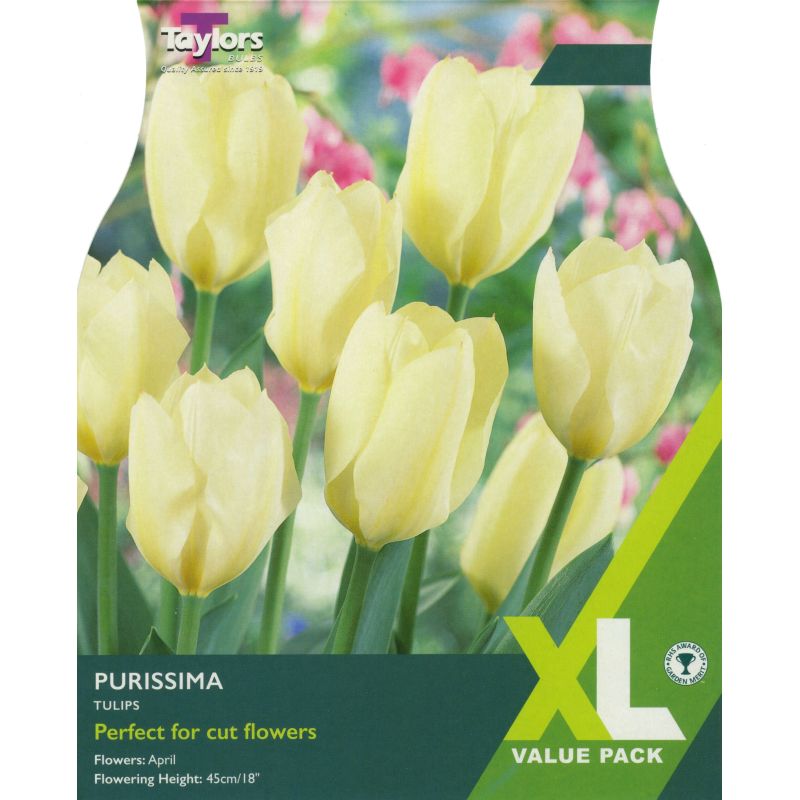 Taylors Bulbs Tulip Purissima - 18 Bulb Pack