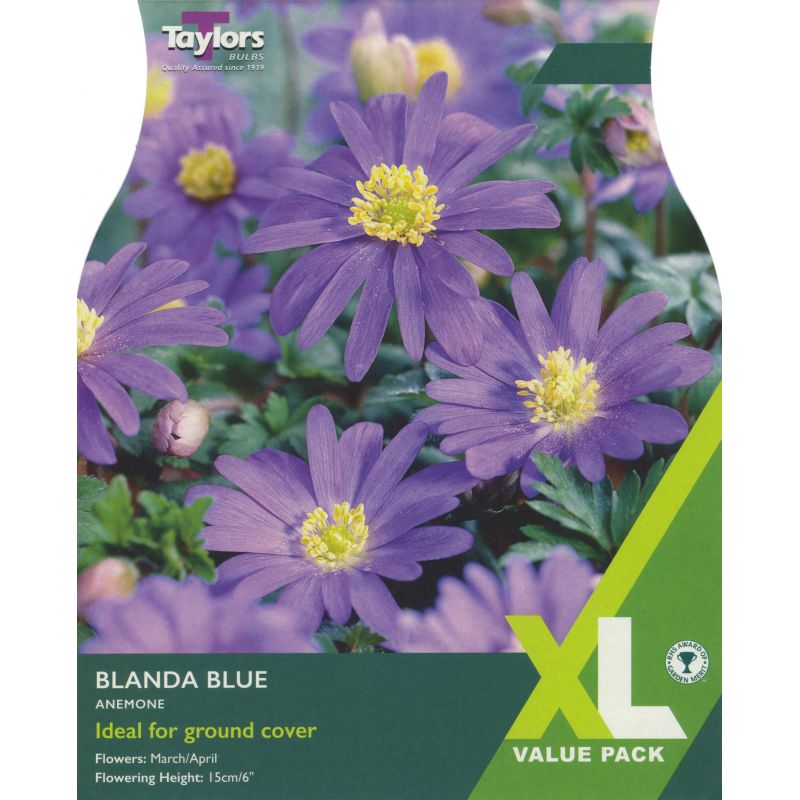 Taylors Bulbs Anemone Blanda Blue - 60 Bulb Pack