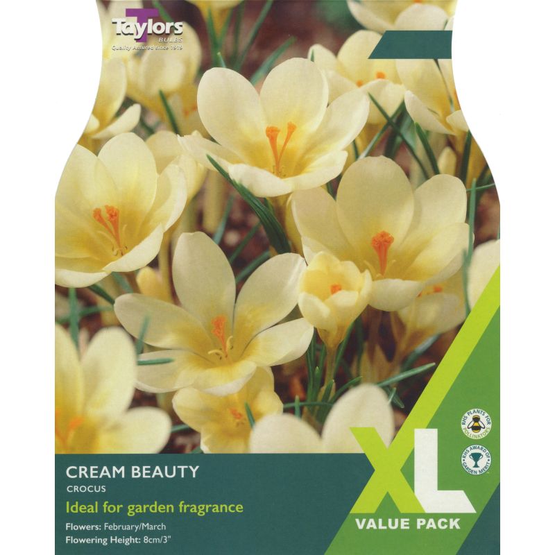 Taylors Bulbs Crocus Cream Beauty - 25 Bulb Pack